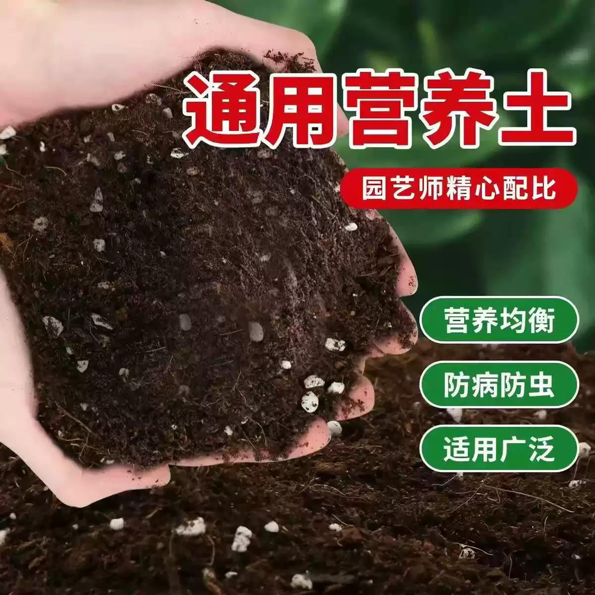 营养土